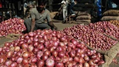 రూ.35 కిలో ఉల్లి...  ఎక్కడ, ఎలా పొందాలంటే..: మంత్రి నిరంజన్ రెడ్డి