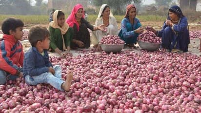 ഉള്ളി വില കൂടില്ല; അടുത്ത മാസം മുതൽ 'ബഫർ സ്റ്റോക്ക്' വിപണിയിലേക്ക്