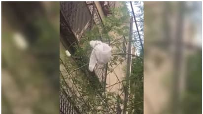 പിപിഇ കിറ്റ് അലക്ഷ്യമായി വലിച്ചെറിഞ്ഞു; കൊവിഡ് രോ​ഗിക്കെതിരെ കേസെടുത്ത് പൊലീസ്; രോ​ഗമുക്തിക്ക് ശേഷം അറസ്റ്റ്