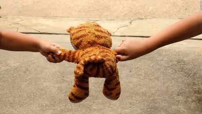 ನಿಮ್ಮ ಅಣ್ಣ, ತಮ್ಮನ ಜೊತೆ ಜಗಳ ಆಡ್ತೀರಾ ? ಆಡ್ಕೊಳಿ... ಇದು ಬೆಸ್ಟ್ ಅನ್ನುತ್ತಾರೆ ವಿಜ್ಞಾನಿಗಳು