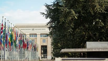 নিজেদের জালেই আটকে যাচ্ছে নেপাল-চিন, রাষ্ট্রসংঘে ভারত বিরোধী পদক্ষেপ হতে চলেছে বুমেরাং