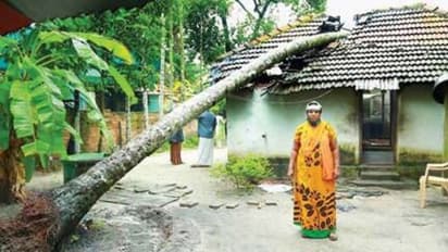 ആലപ്പുഴയില് കാറ്റിലും മഴയിലും മരം വീണ് വീട് തകര്ന്നു