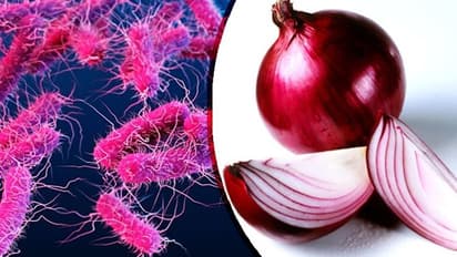 করোনার থেকেও চিন্তা বাড়াচ্ছে সালমোনেলা ব্যাকটেরিয়া, পেঁয়াজ খেয়ে অসুস্থ শতাধিক