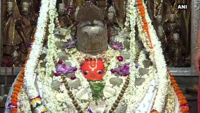 শনির দশায় জর্জরিত, সমস্যা কাটাতে মঙ্গলবার করুন বজরঙ্গবলির পুজো