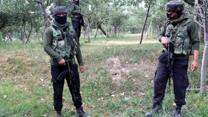 কুলগাম থেকে পুলওয়ামা - দক্ষিণ কাশ্মীরে জোড়া সংঘর্ষে খতম চার জঙ্গি