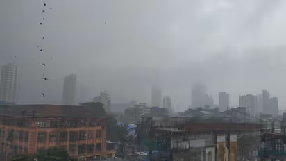 Mumbai, neighbouring districts likely to receive light rain and thundershowers on December 12-13; check detail