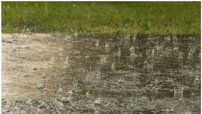 ന്യൂനമർദ്ദം; ഒമാനിൽ രണ്ട് ദിവസം മഴയ്ക്ക് സാധ്യത, കാലാവസ്ഥ മുന്നറിയിപ്പ് 