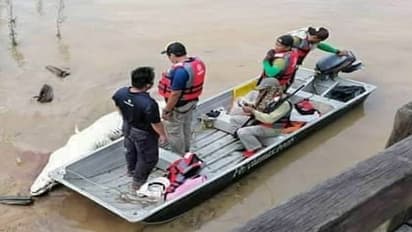 6 ದಿನದ ಬಳಿಕ ಸಿಕ್ಕ ಮೊಸಳೆ, ಹೊಟ್ಟೆ ಸೀಳಿದಾಗ ಬಯಲಾಯ್ತು ಭಯಾನಕ ದೃಶ್ಯ!