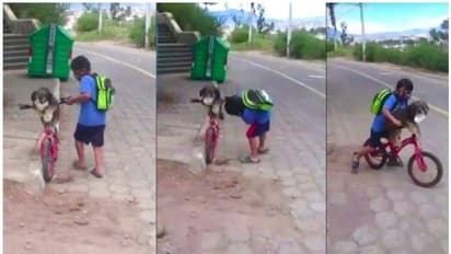 'എന്തൊരു കരുതൽ'; സ്വയം മാസ്ക് വച്ചതിന് പിന്നാലെ നായയെയും ധരിപ്പിച്ച് കൊച്ചുമിടുക്കൻ; കയ്യടിച്ച് സോഷ്യൽ മീഡിയ