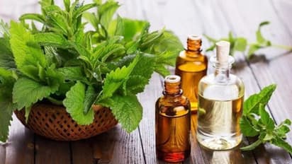 ತಲೆ ಇದ್ದವರಿಗೆಲ್ಲಾ ಬರುತ್ತೆ ನೋವು, ಹೋಗಿಸಲು ಈ ಎಣ್ಣೆ ಬೆಸ್ಟ್