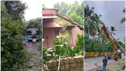 കനത്ത മഴയും കാറ്റും: മലപ്പുറം ജില്ലയിൽ വ്യാപക നാശം, വീടുകള് തകര്ന്നു