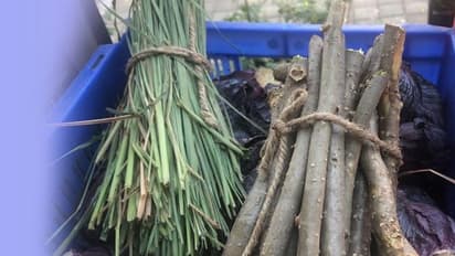 रामदेव बाबा के कोरोनिल का भी बाप है ये काढ़ा, हर रोज 1 कप रखेगा कोरोना सहित कई बीमारियों को दूर