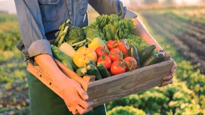 बिहार में आलू टमाटर बन सकता है बड़ा चुनावी मुद्दा, महंगाई के मुद्दे पर सरकार को घेरने की तैयारी