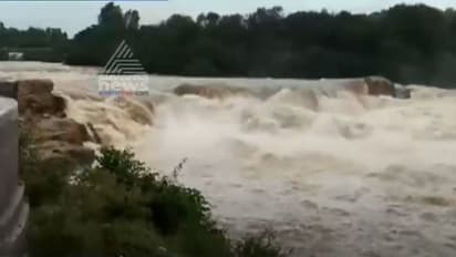 ನ.13ಕ್ಕೆ ಚುಂಚನಕಟ್ಟೆಕಾವೇರಿ ಜಲಪಾತೋತ್ಸವ