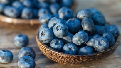 Osteoarthritis :  മുട്ട് തേയ്മാനം തടയാൻ ഈ ഭക്ഷണങ്ങൾ കഴിക്കാം 