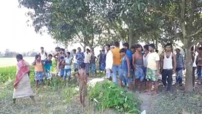 ছাগলে ধান খাওয়া নিয়ে বিবাদ, দাদার হাতে 'খুন' হয়ে গেল ভাই