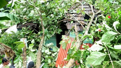 കൂറ്റന് മരം കടപുഴകി വീട് തകര്ന്നു; കുടുംബം രക്ഷപ്പെട്ടത് തലനാരിഴയ്ക്ക്