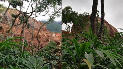 ഇടുക്കി ലോക്കാട് ഗ്യാപ്പില് വീണ്ടും മലയിടിച്ചില്; കൃഷിയിടങ്ങളും തടയണയും തകര്ന്നു