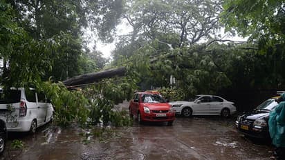 കോഴിക്കോട് ജില്ലയില് 171 കുടുംബങ്ങളെ ദുരിതാശ്വാസ ക്യാംപുകളിലേക്ക് മാറ്റി