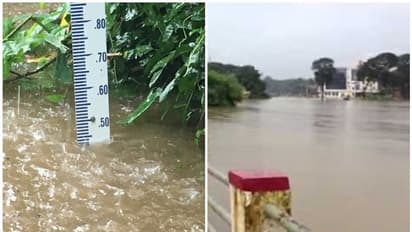 മീനച്ചിലാറ്റിൽ ജലനിരപ്പ് ഉയരുന്നു; പാലായിൽ വെള്ളപ്പൊക്ക ഭീഷണി