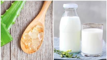 മുഖത്തെ ചുളിവുകൾ എളുപ്പം അകറ്റാം; കറ്റാർ വാഴ കൊണ്ടുള്ള ഈ ഫേസ് പാക്കുകൾ പരീക്ഷിച്ച് നോക്കൂ...