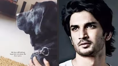 Sushant Singh Rajput's niece shares adorable video with late actor’s dog Fudge