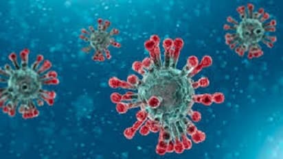 Coronavirus: 11 Assam Assembly employees test positive for COVID-19