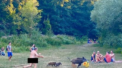 ಲಾಪ್‌ಟಾಪ್ ಕದ್ದ ಹಂದಿ ಹಿಂದೆ ಬೆತ್ತಲೆಯಾಗಿ ಓಡಿದ..! ಇಲ್ಲಿವೆ ಫೋಟೋಸ್