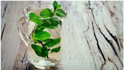 പുതിന വെള്ളം കുടിക്കുന്നത് ശീലമാക്കൂ; ​ഗുണങ്ങൾ അറിയാം