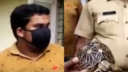 കിളിമാനൂരിൽ നക്ഷത്ര ആമയെ വിൽക്കാൻ ശ്രമിച്ചയാളെ വനംവകുപ്പ് പിടികൂടി