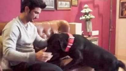 ফাজের বেল্ট দিয়ে সুশান্তের গলায় ফাঁস দেওয়া হয়েছে, চাঞ্চল্যকর তথ্য প্রাক্তন অ্যাসিস্টেন্টের