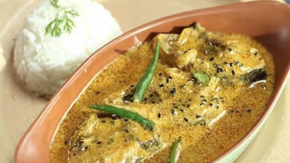 নববর্ষে বানান ইলিশের স্পেশ্যাল পদ, রইল ইলিশ কোর্মার রেসিপি, রইল সহজ উপায়