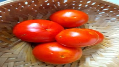 कभी खाएं हैं टमाटर के लड्डू, मलाई चाप से लेकर काजू कतली भी हो जाएंगे फेल