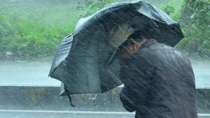 স্বস্তি মিলবে শহরে, অঝোর ধারার বৃষ্টির পূর্বাভাস গাঙ্গেয় পশ্চিমবঙ্গে