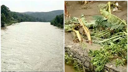 മഴയുടെ ശക്തി കുറഞ്ഞു, കൃഷിനാശവും വെള്ളക്കെട്ടും തുടരുന്നു; കാലവർഷക്കെടുതിയിൽ ഇന്ന് മൂന്ന് മരണം