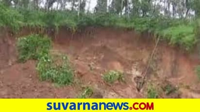 ಬೆಳ್ತಂಗಡಿ: ಭಾರೀ ಮಳೆಗೆ ಕಾಡಿನಲ್ಲಿ 6 ಎಕರೆ ಗುಡ್ಡೆ ಕುಸಿತ