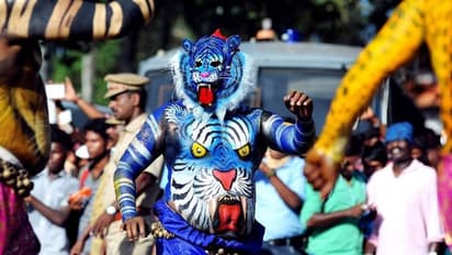 പുലികളിയില് അനിശ്ചിതത്വം, മാറ്റിവയ്ക്കുമോ? തിരിച്ചടിയായത് എലിസബത്ത് രാജ്ഞിയുടെ മരണത്തെ തുടർന്നുള്ള ദുഖാചരണം