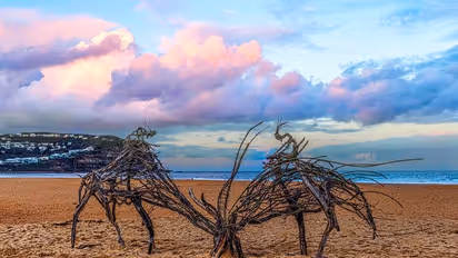 പാഴ്ത്തടികളില്‍ നിന്ന് സന്തോഷം കണ്ടെത്തിയ കലാകാരന്‍ ; കാണാം ചില പ്രതിഷ്ഠാപനങ്ങള്‍