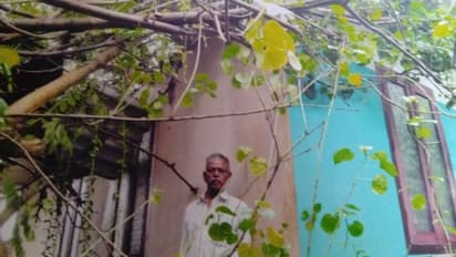 മരം വീണ് മല്സ്യ തൊഴിലാളിയുടെ വീട് തകർന്നു; അപകടം ഒഴിവായത് തലനാരിഴയ്ക്ക്