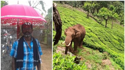 ഇടുക്കിയില് കാട്ടാന അക്രമണം; തോട്ടം തൊഴിലാളി കൊല്ലപ്പെട്ടു