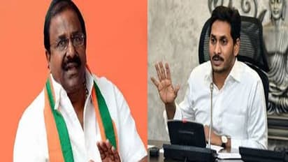 పవన్ కల్యాణ్ భవిష్యత్తు బిజెపి ముఖం: ఏపీలో పాగాకు పక్కా ప్లాన్