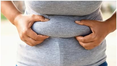 വയറിലെ കൊഴുപ്പ് കുറയ്ക്കണമെന്നുണ്ടോ; എങ്കിൽ ചെയ്യേണ്ടത് ഇതാണ്