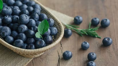 Here's how blueberry-enriched diet will help women in their diet