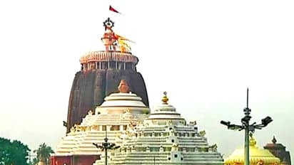 कोरोना के चलते नहीं जा पा रहे मंदिर तो शिखर दर्शन करते समय बोलें ये मंत्र, मिलेंगे शुभ फल