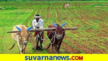 ನವಲಗುಂದ: ಹೆಸರು ಬೀಜಕ್ಕಾಗಿ ರೈತರ ಅಲೆದಾಟ