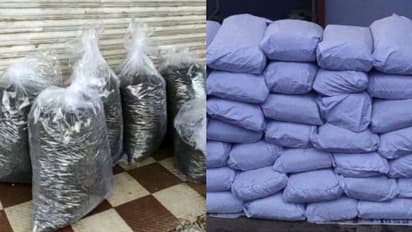 Bengaluru CCB busts drug racket; 204kg of marijuana worth Rs 1 crore seized