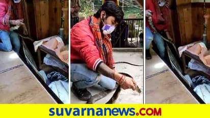 ನಿಮ್ಮ ಮನೆ ಮಂಚದ ಕೆಳಗೆ 8 ಅಡಿ ಕಾಳಿಂಗ ಬಚ್ಚಿಟ್ಟುಕೊಂಡರೆ! ವಿಡಿಯೋ