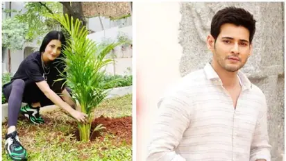 മഹേഷ് ബാബുവിന്റെ ചലഞ്ച് ഏറ്റെടുത്ത് നടി ശ്രുതി ഹാസൻ, തൈ നട്ടു