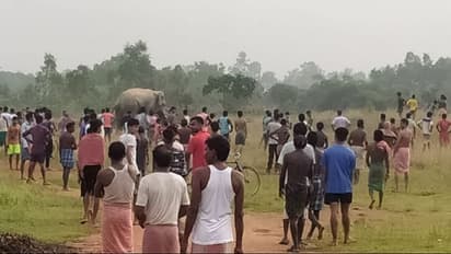 খাবারের সন্ধানে ফের লোকালয়ে হাতি, বনদপ্তরের ভূমিকায় ক্ষোভ স্থানীয়দের