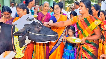 शनिवार को इस विधि से करें बछ बारस का व्रत और पूजा, घर में बनी रहेगी सुख-समृद्धि